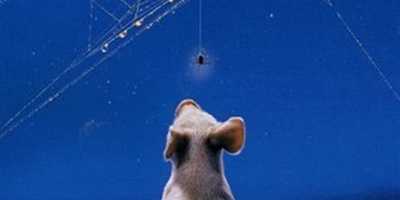 Charlotte's Web